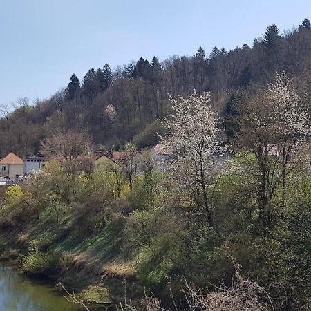 Park Leilighet Ljubljana Eksteriør bilde